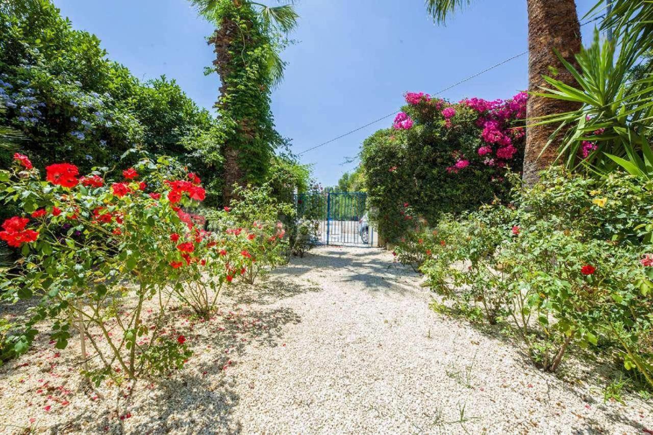 Suite House L'Isola Che Non C'E Фонтане-Б'янке Екстер'єр фото